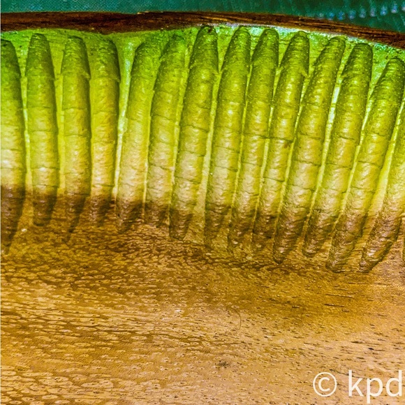 Vintage “Sanibel Home” solid leaf wood bowl and package of Paper Straws (20 Ct) - Picture 7 of 10